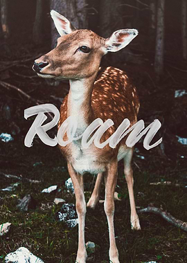 Roam