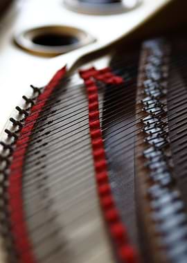 Details inside Grand Piano