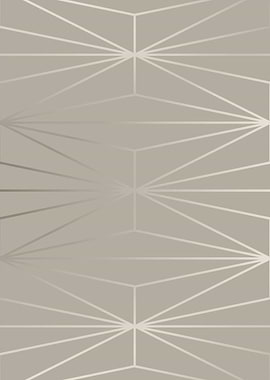 ELEGANT SILVER DIAMOND-2