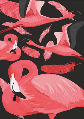 flamingo