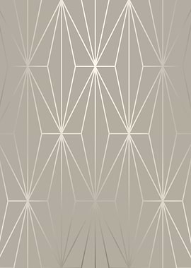 ELEGANT SILVER DIAMOND-1