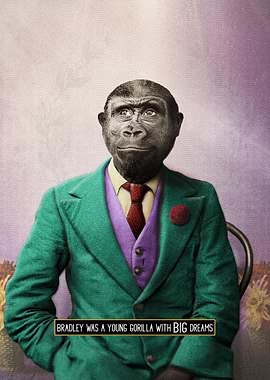 Bradley Gorilla