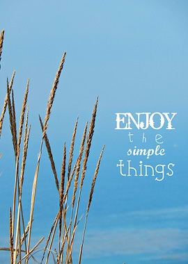 Enjoy the Simple Things