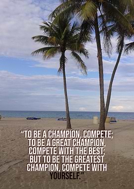 Hollywood beach with palms