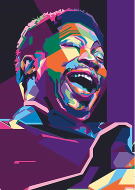 bb king of blues pop art