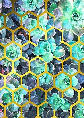 Succulents Geometric