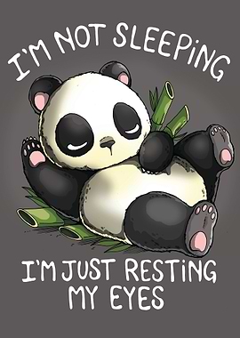 Resting Panda