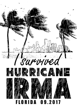 Florida Irma Hurricane