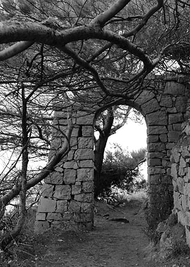 A walk on the sea side