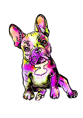 French Bulldog Glowing