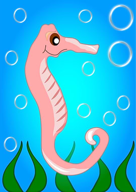 Sea Horse