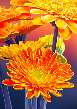 Orange daisies