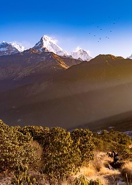 Dust off the mountains