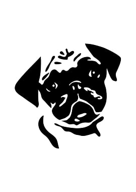 pug