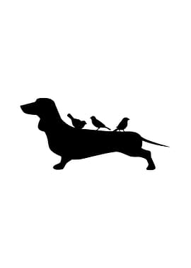 dachsund birds