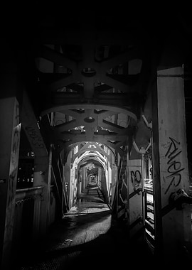 The long bridge home