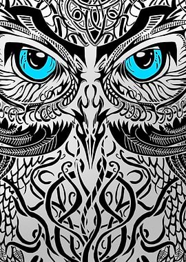 Owl Closeup