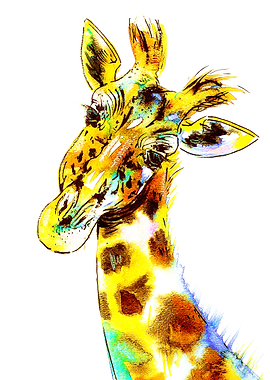 Gentle Giraffe