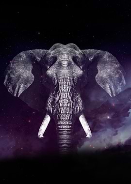 Galaxy Elephant wallpaper