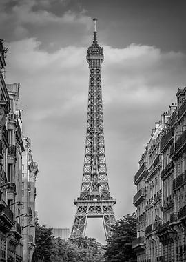 Parisian Flair monochrome