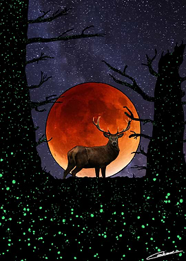 Spirit of the Forest