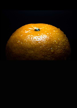 Fresh orange in spot light