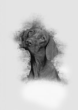 Vizsla Art