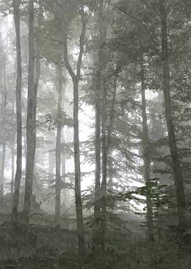 Forest Illustration