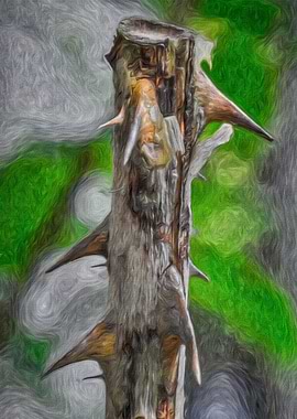 Old Rose Stem and Thorns