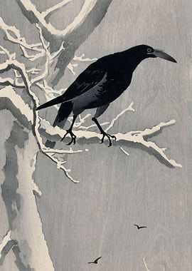 Crow in a snowy tree