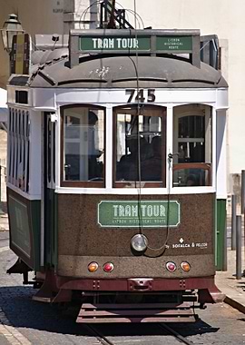 Green Tourist Line Tram