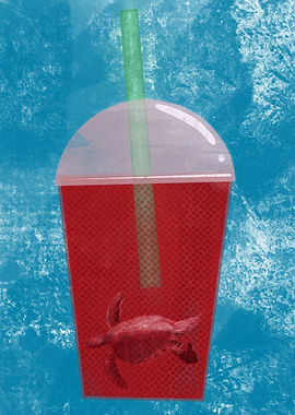 Sea Turtle Blend No Ice