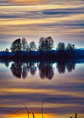 winter reflection on lake