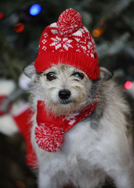 Baby its cold outside