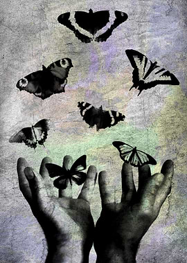 Butterflies