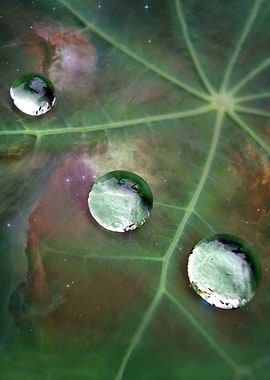 Orion dew drops