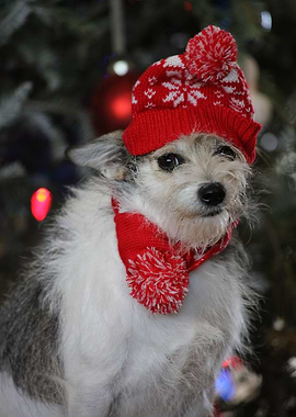 Baby its cold outside