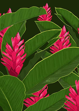 Tropical flowers