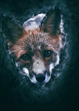 Fox
