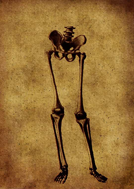 Anatomic102