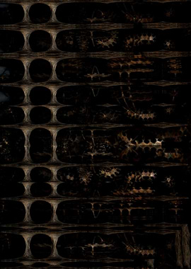 Inside the Alien Cave