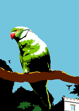 Parakeets in the park