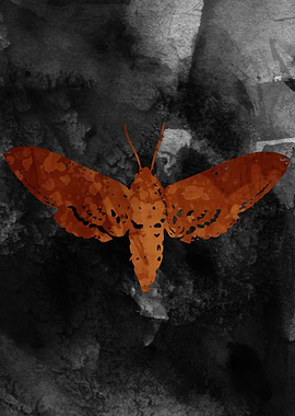 Moth Watercolor Artwork