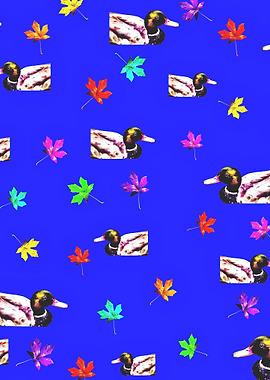 mallard duck and maple