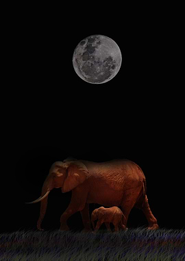 Elephants From History