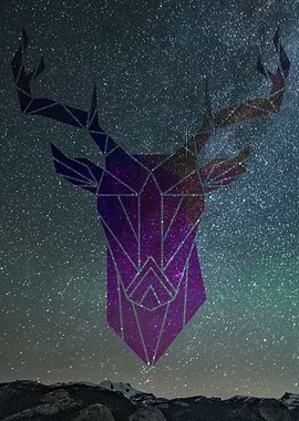 deer in the starry sky