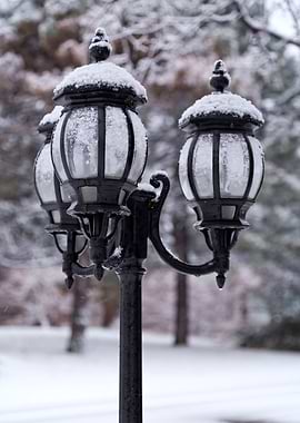 Winter Lamps