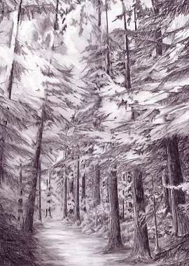 Inverfarigaig Forest