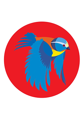bird modern pop art vector