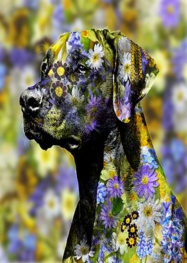 Flower Rhodesian Ridgeback